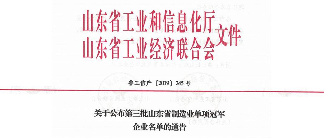 集團榮獲山東省第三屆制造業(yè)“單項冠軍”企業(yè)榮譽稱號