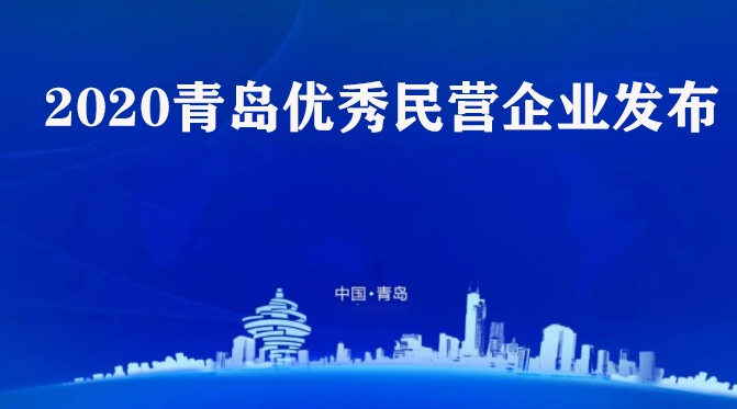 喜訊,！海利爾藥業(yè)集團榮獲2020青島優(yōu)秀民營企業(yè)